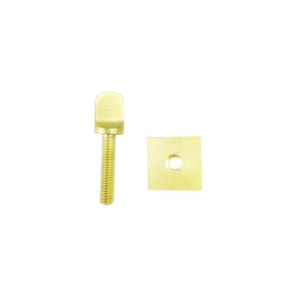 Brass Surfboard Fin Screw - Image 3